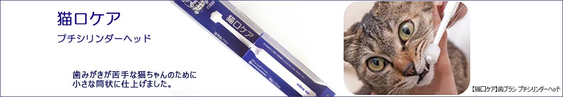 /top_content/020927-1100190.jpg