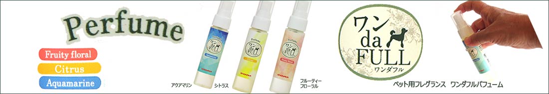 /top_content/021294-1100190.jpg