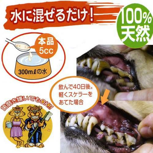 KPS ハノケア マウスクリーナー オリジナル　1Gal(3750ml) ガロン KPS ハノケア マウスクリーナー オリジナル ガロン 3750ml