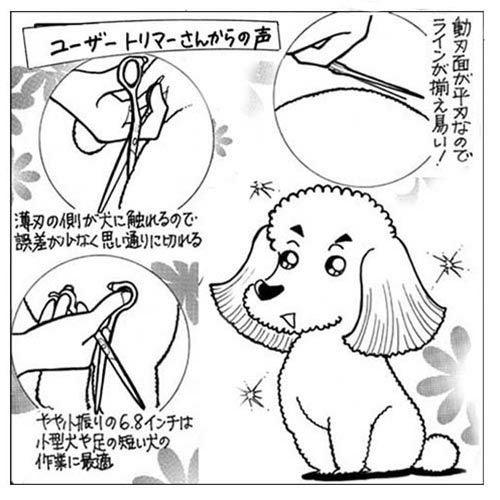 東京理器 胡蝶 MK-68F（お手入れセット 1回研ぎ無料券付）仕上・荒
