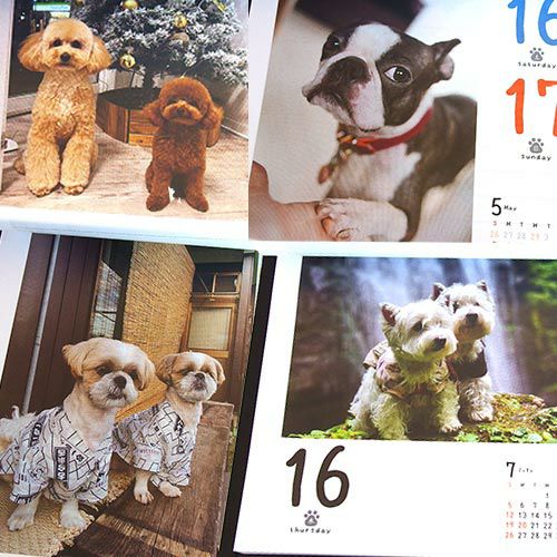 2026年カレンダー 犬めくり 台座付き 日めくりカレンダー ☆ | petech