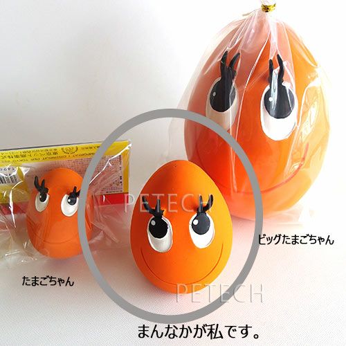 NEW】【3色セット】サンジョルディ Mたまごちゃん（ちょっと大きめ